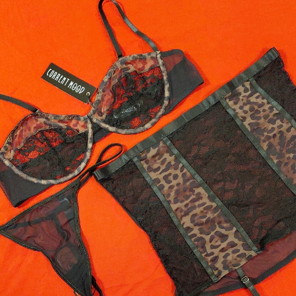 DOLLSKILL CURRENTMOOD XXL 3 PIECE LINGERIE SET LEAPARD SHEER PRINT